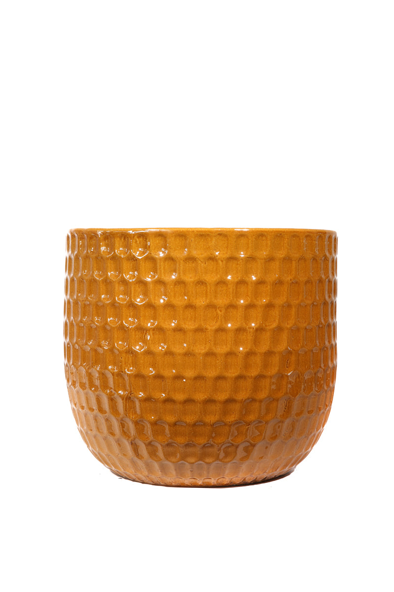 Vaso in Ceramica